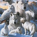 pablo cerna - @juanpablocerna - Twitter