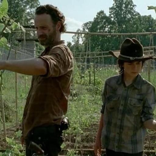 grimescest's profile picture. I am a fan of Rick and Carl