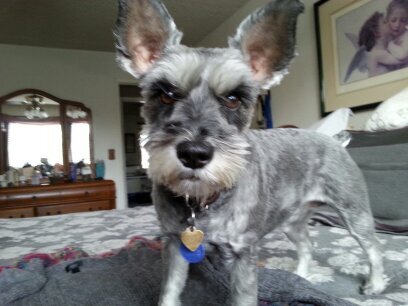 ImkeKenie's profile picture. 