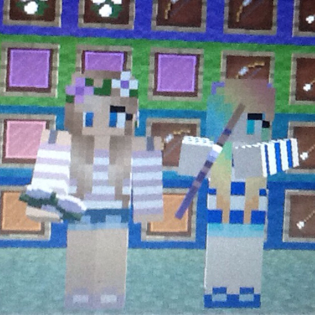 Minecrafters. Ya know