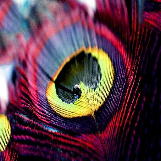 Nitrm_'s profile picture. 