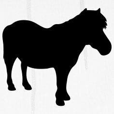 littlehorseRC's profile picture. No little horses were harmed while roasting this coffee. Melbs