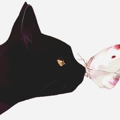 meowlikeaduck's profile picture. i talk a lot about nothing