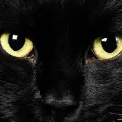 Fernanda_iam's profile picture. meooow 3 feliz :3/ vamos,vamos,vamos!!/  2015 vamos denuevo, ya entendi el secreto !!! Estoy re feliz por la miechica! ~tratame suavemente~ ñau 3 3