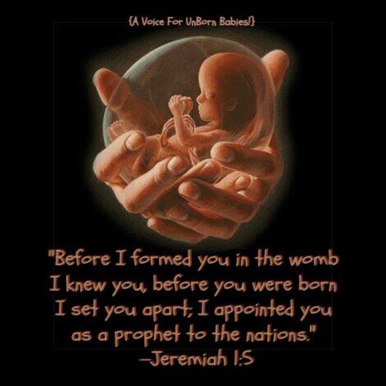 #AllLivesMatters: Before I formed you in the #womb I knew you -Jeremiah 1:5 100% #ProLife #SaveThe1% • Also #FF @SaveThe1Child & @SalvarEl1 •