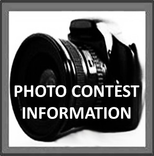 Information about photography contest for both professional and amateur photographer in Indonesia. #PhotoContestInfo http://t.co/xTkLuo2QLf
