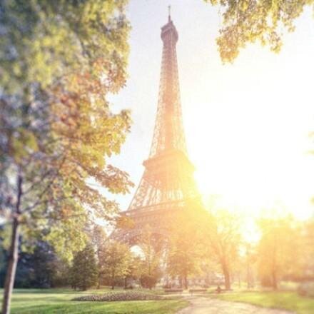 koreaparis's profile picture. 