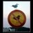 TFM_US's profile image