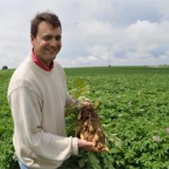 Agriculteur picard Pommes de terre Pompadour Label rouge, oignons, légumes bio, methanisation à la ferme