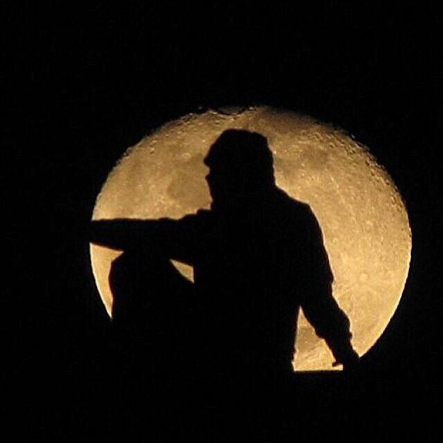 AIShahoomi's profile picture. 