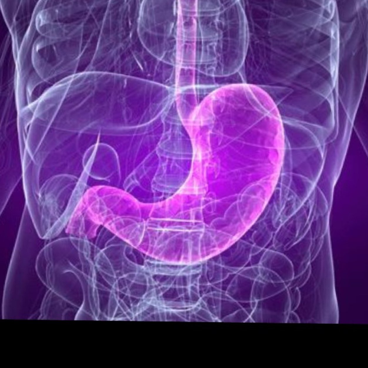 DrGastroMx's profile picture. 