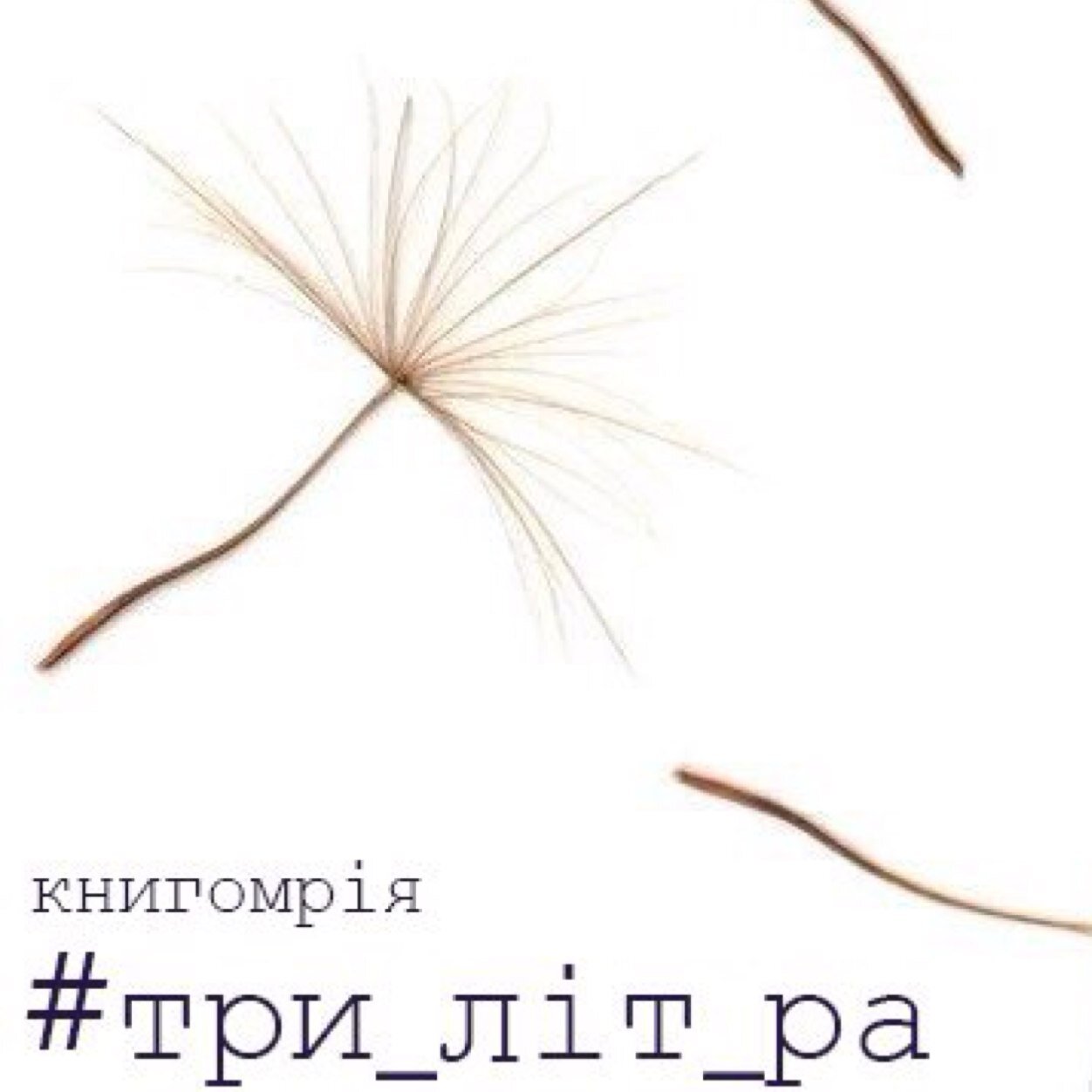 поетична антологія. книгомрія. 24 автори, 5 міст. 3 літри віршів для потіхи.