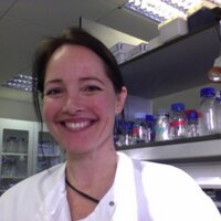 Ronelle Roth (@ronelleroth) 's Twitter Profile Photo Ronelle Roth (@ronelleroth) 's Twitter Profile Photo