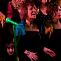 Angelica Dadomo (@angelicada) 's Twitter Profile