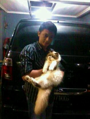 Doesn't know everything. but wanna know something | Juventini | CatLover (=' . '=)