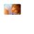 KKCFMMK's profile image