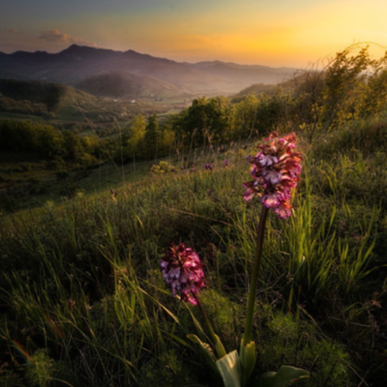 rubygold17's profile picture. 