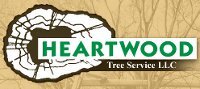 Helping Trees Outlive Humans Since 1979
Full Service Tree and Shrub Care
(704)525-3066. Love talking trees.