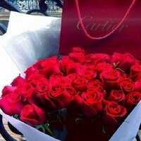  ♡دانه♡ (@rasam196) 's Twitter Profile