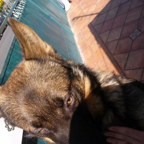 Jets_Fern's profile picture. Mind Altering Substance Abuser. Lames catch feelings We catch flights...