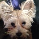 Carol Staton - @carol4mk - Twitter