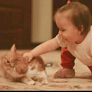 katmalahzan260's profile picture. 