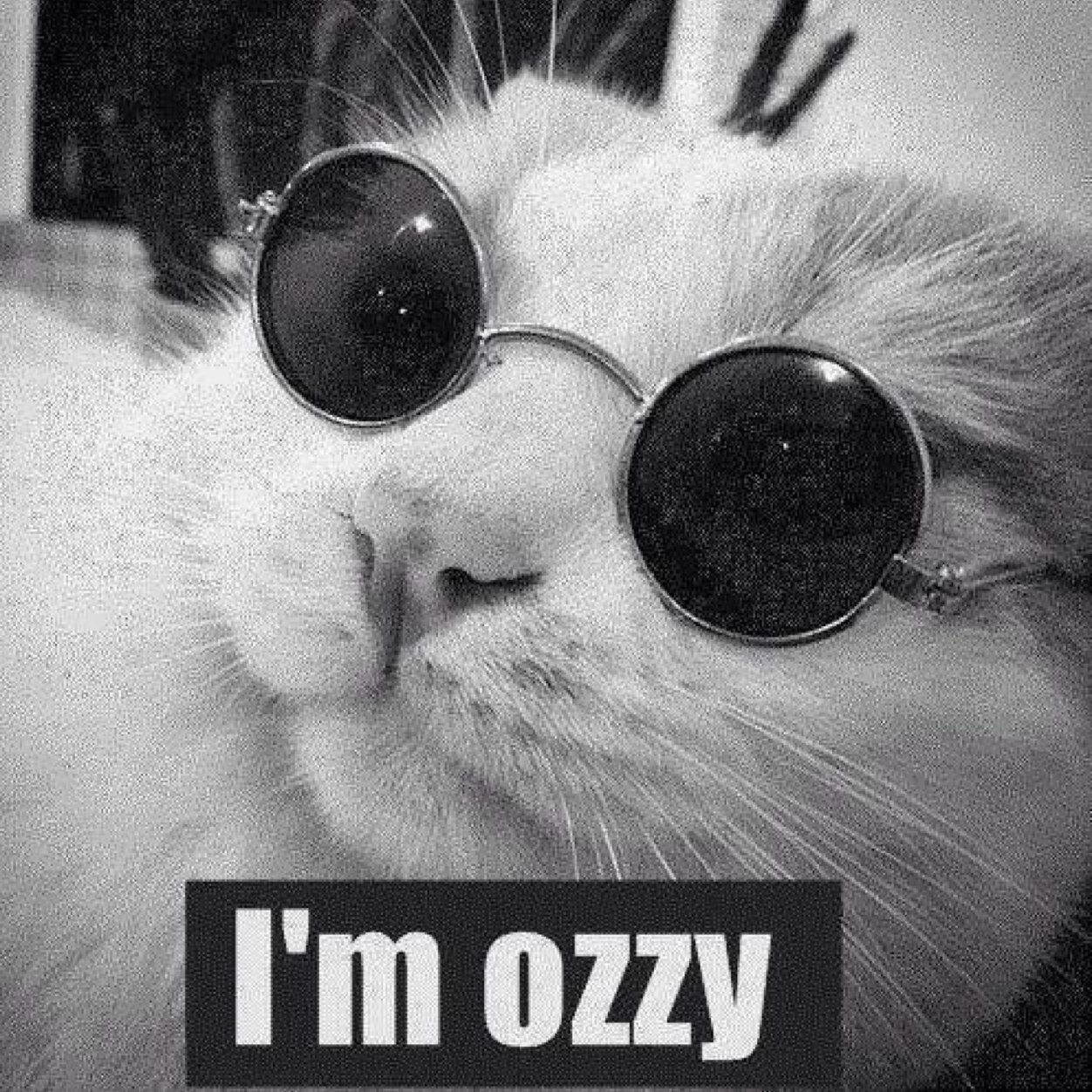 Never say never, never say forever #взаимныйфолловинг