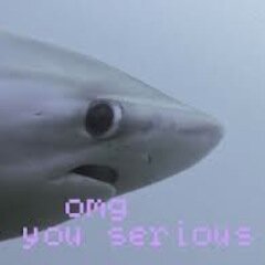 VishOnAMish's profile picture. Educator: Kiddos by day, Fools by Night ~@fallenredninja || Kōrero Mai ||
🎶 Pākehā Shark 🎵 do do do do do🎶 || They/Ia/She || Neurodivergent ||