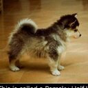 John Singleton - @DaRealest510 - Twitter