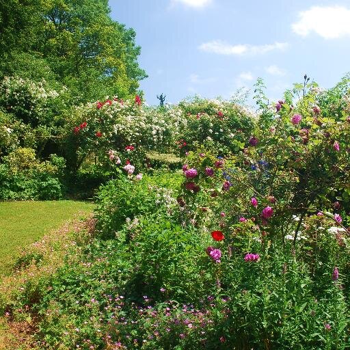 Lovely gardens open for caring charities all over one of England's most beautiful counties.