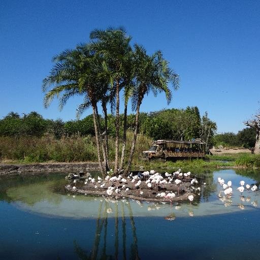 vanessatravel's profile picture. 