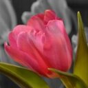 Mohan Sameer - @MohanSameer1 - Twitter