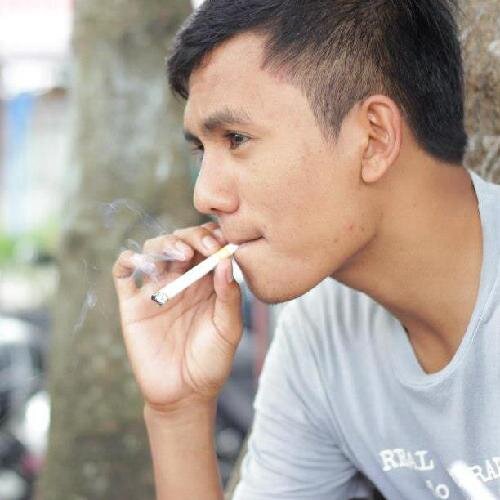 ferdy_lamreung's profile picture. 