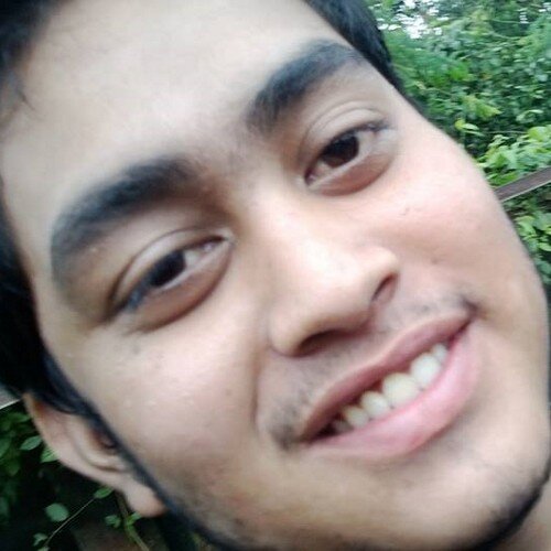 Under Graduate Student in B.Tech