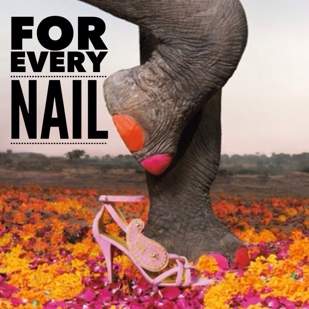 thenailkeeper's profile picture. 