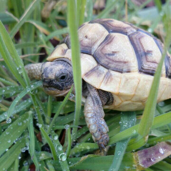 vikkimay2014's profile picture. 