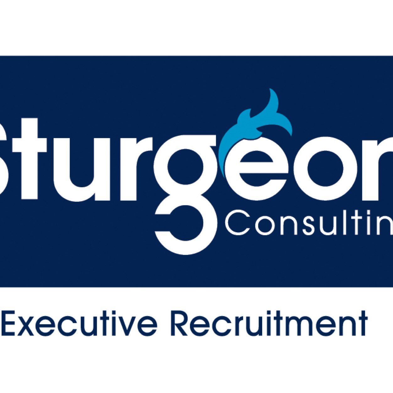 Sturgeon Consulting specializes in finding and attracting suitable candidates, at mid - senior level, for its clients across India.
