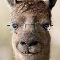 Manü (@fuerdesign) Twitter profile photo