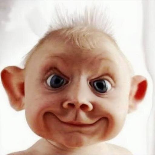 ScamSwatter's profile picture. Sick and tired of Scams, Spam, Profanity and Crime? It robs people of jobs, opportunities, assets and promotes bankrupt value systems. I am a reporter!