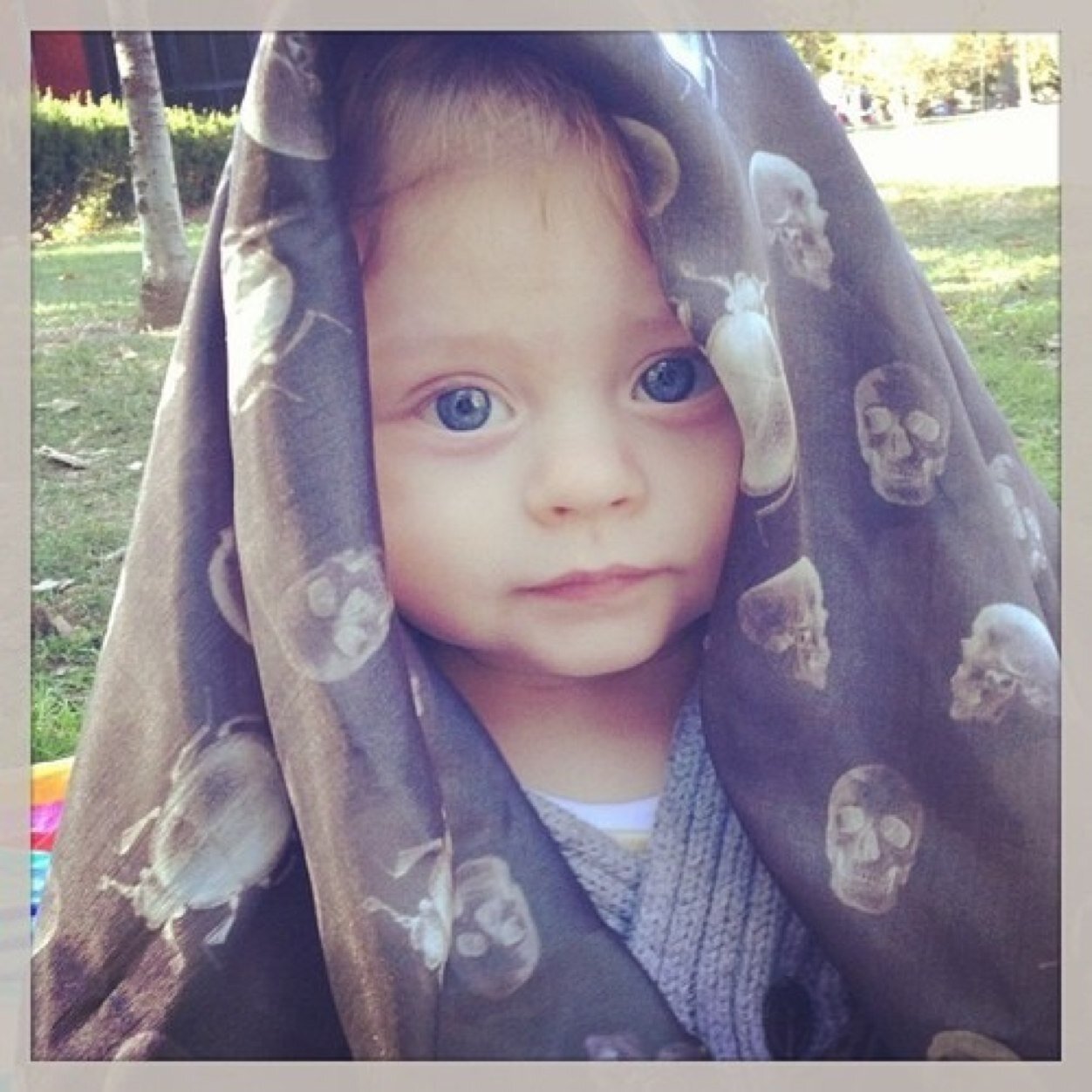 Shifter. Toddler. Orphan. Rule Breaker.