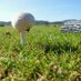 AD Consulting Roma (@adconsulgolf) Twitter profile photo