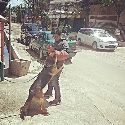 dyacadabra's profile picture. Lycanthropus.