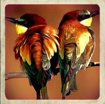 JustDrawn's profile picture. انجازات المدرسة من حفلات ومهرجانات مختلفة وجميع ما يتم تنفيذه من قبل الطالبات