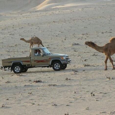 ﺎلکرامہ تغني ﺎلرجال .. لو ﺎنہ فقير ‏​وﺎلقناعہ ف صدور ﺎلكرام ﺎكبر غناھ  
5/5