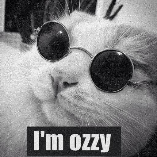 Never say never, never say forever #взаимныйфолловинг