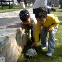 ÖNDER CAN (@drondercan) 's Twitter Profile