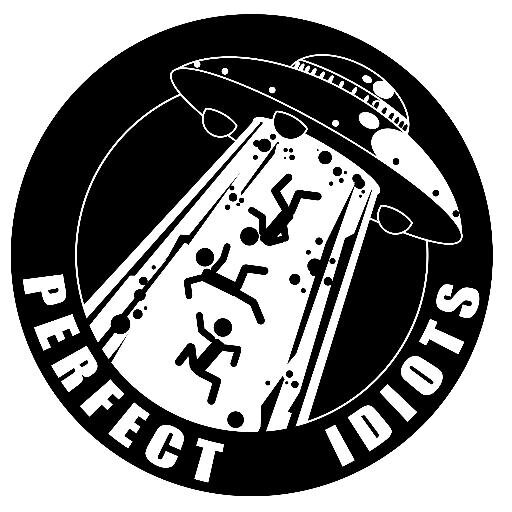 PERFECT IDIOTS, un power trio Rock'n Roll extravagant, une machine à tubes, un groupe qui praline à la sauce grunge punk blues.