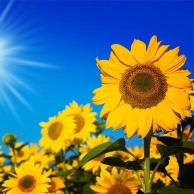 lorencem8's profile picture. 