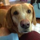 Rusty Roberts - @rusrob57 - Twitter