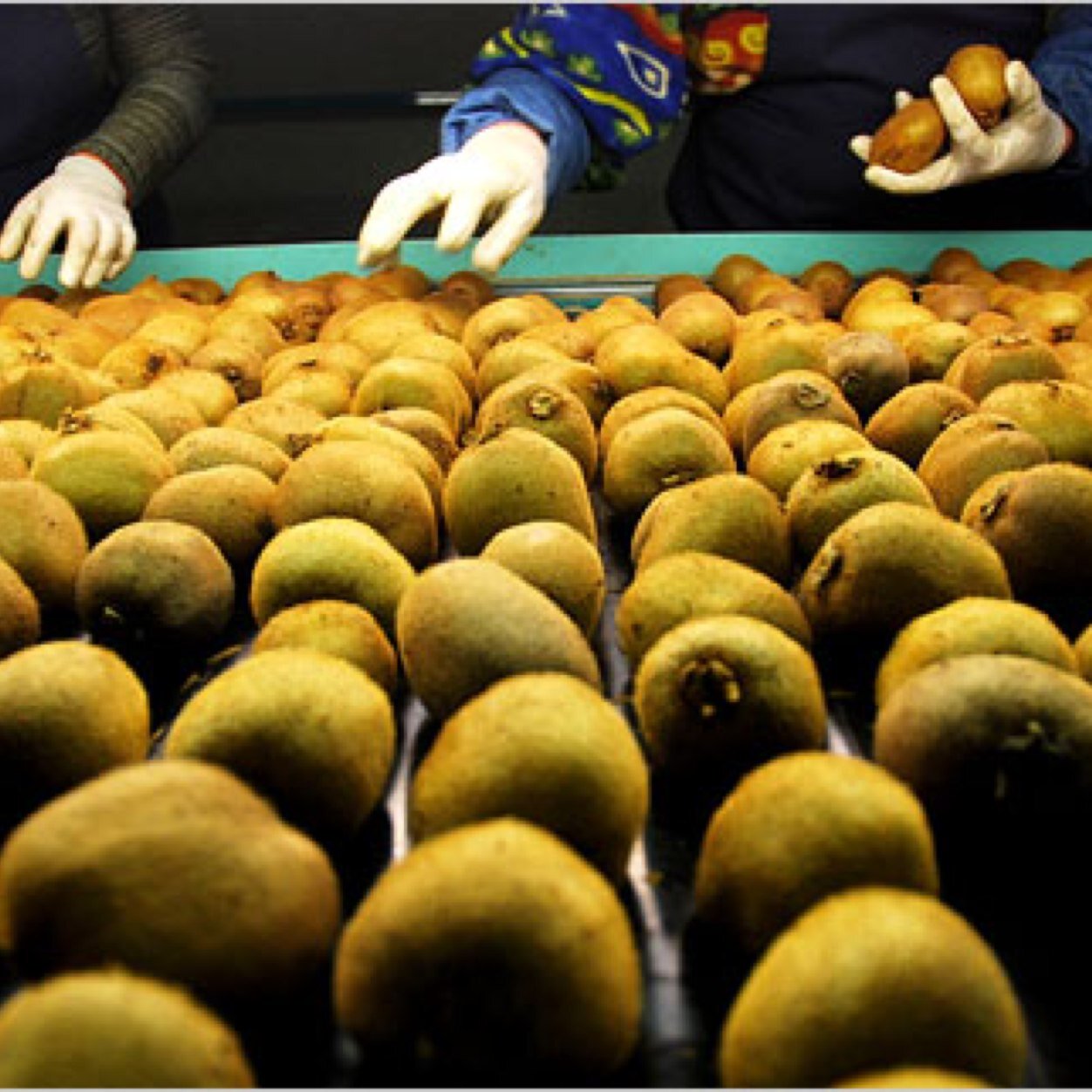 KillianDFans's profile picture. Fan page for the incredibly talented Killian Donnelly, who has just finished playing Tony in Billy Elliot the musical. Catch him in the Les Misérables movie!